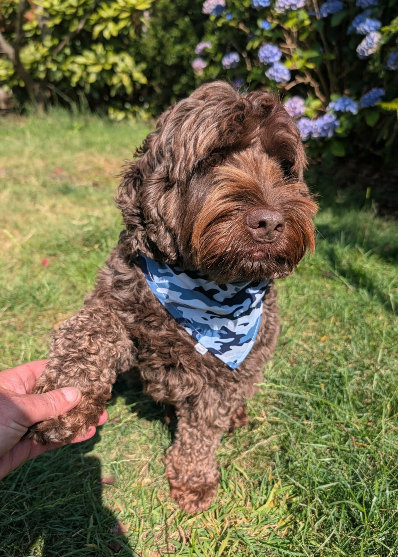 "Paws on Patrol - Blue Camo Edition"  Dog / Cat Bandana - 100% Stylish Cotton Pet Accessory