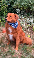 "Paws on Patrol - Blue Camo Edition"  Dog / Cat Bandana - 100% Stylish Cotton Pet Accessory