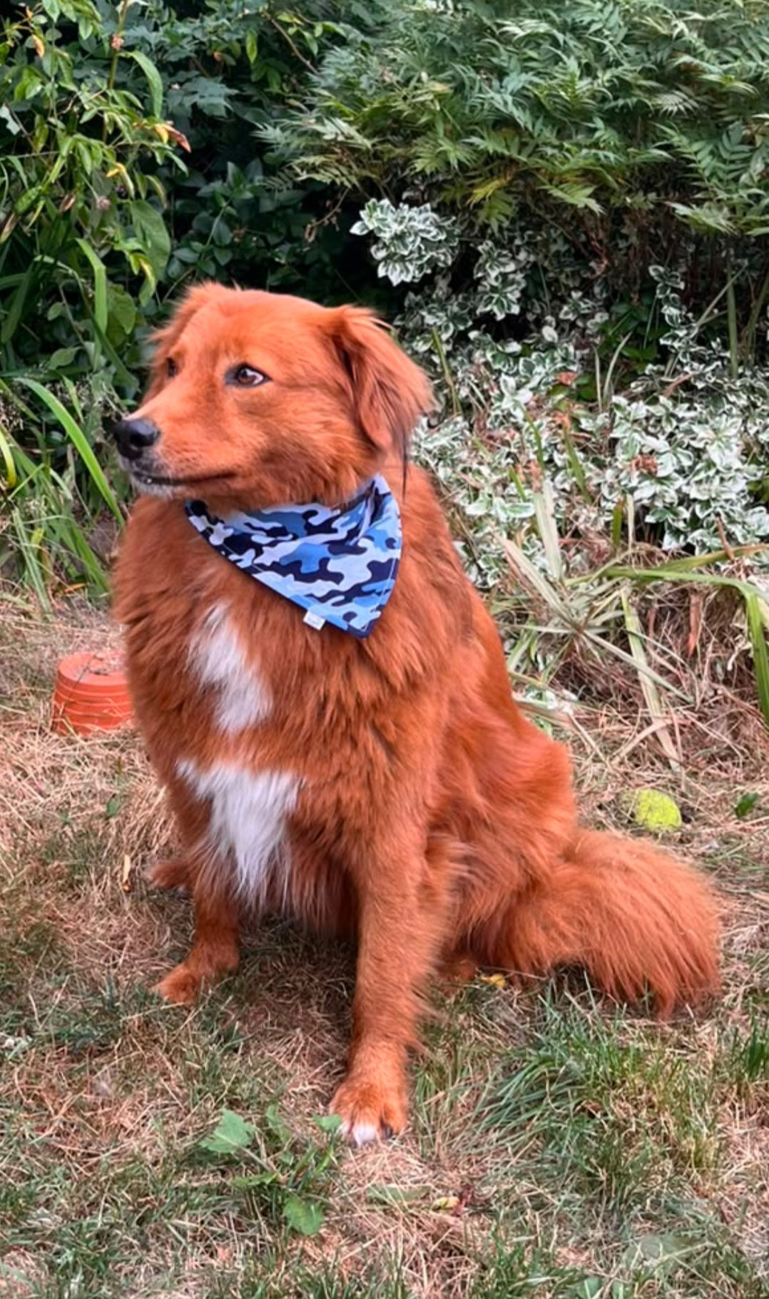 "Paws on Patrol - Blue Camo Edition"  Dog / Cat Bandana - 100% Stylish Cotton Pet Accessory
