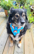 "Rainbow Joy"  Dog / Cat Bandana - Lightweight Stylish Pet Accessory Scarf