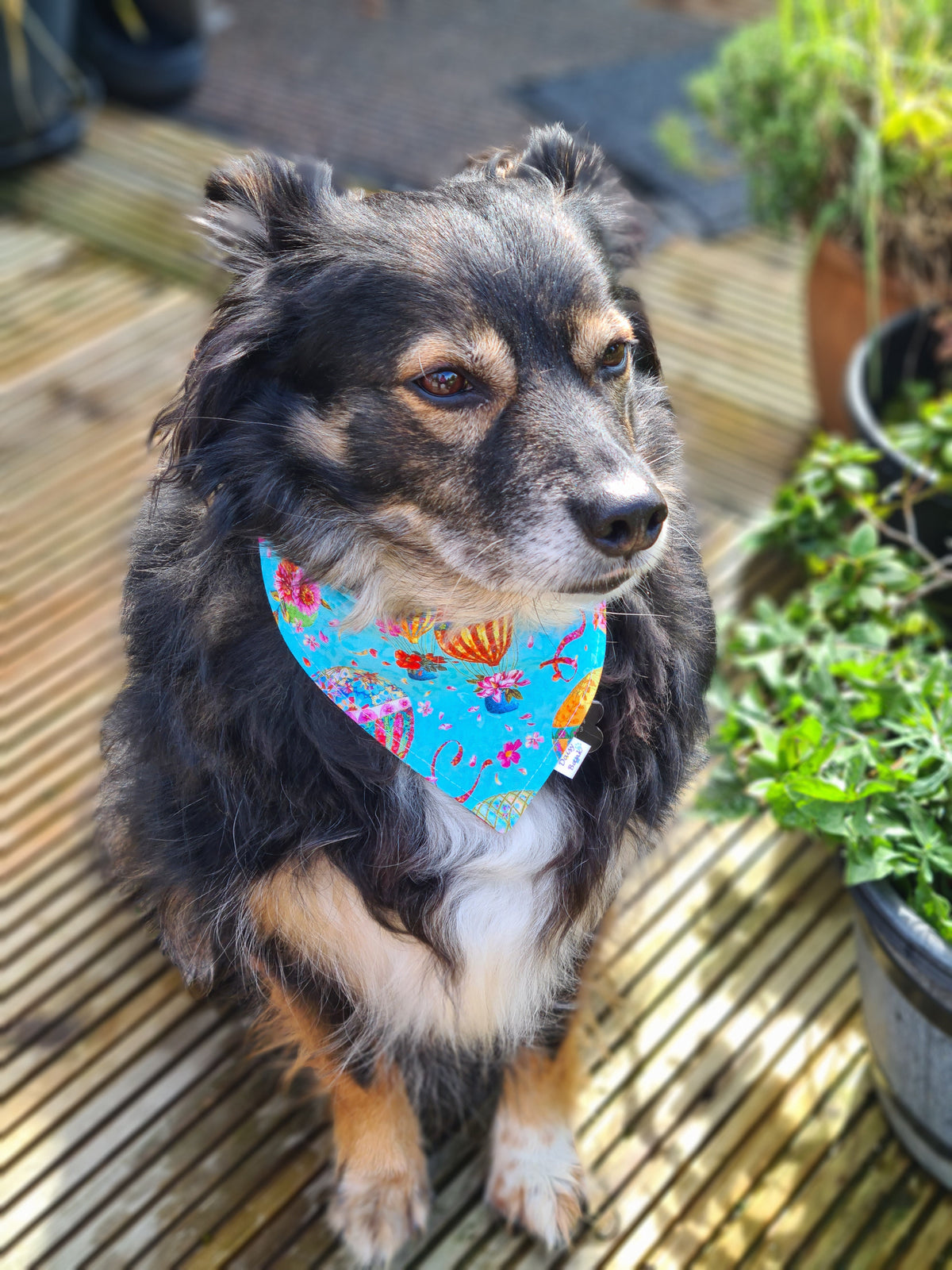 High Flyer Dog & Cat Bandana – Bold Balloon Print Handmade Scrunchie Pet Accessory