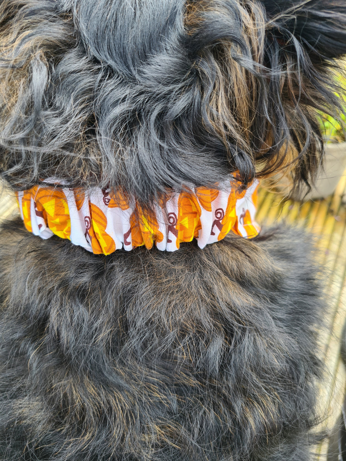 Halloween Pumpkin Dog & Cat Bandana – Cute Scrunchie Style Pet Accessory