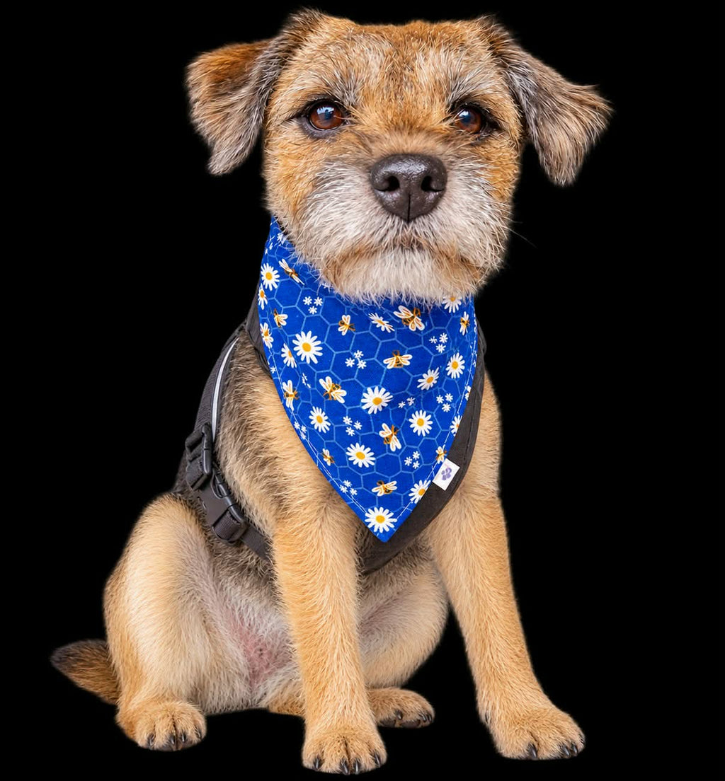 Buzzy Bees Dog & Cat Bandana – Cute Bee Print Handmade Scrunchie Pet Accessory