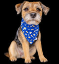 Buzzy Bees Dog & Cat Bandana – Cute Bee Print Handmade Scrunchie Pet Accessory