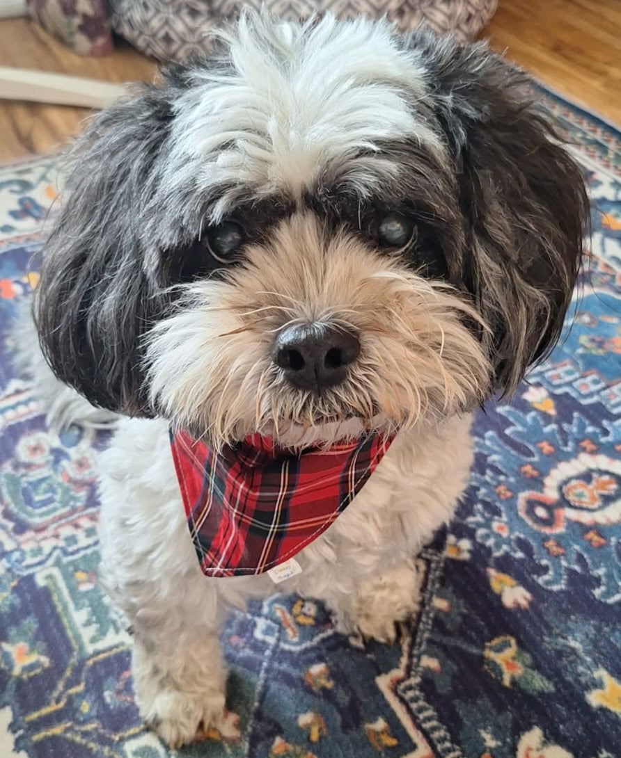 The Highlander Dog & Cat Bandana – Scottish Tartan Print Handmade Scrunchie Pet Accessory
