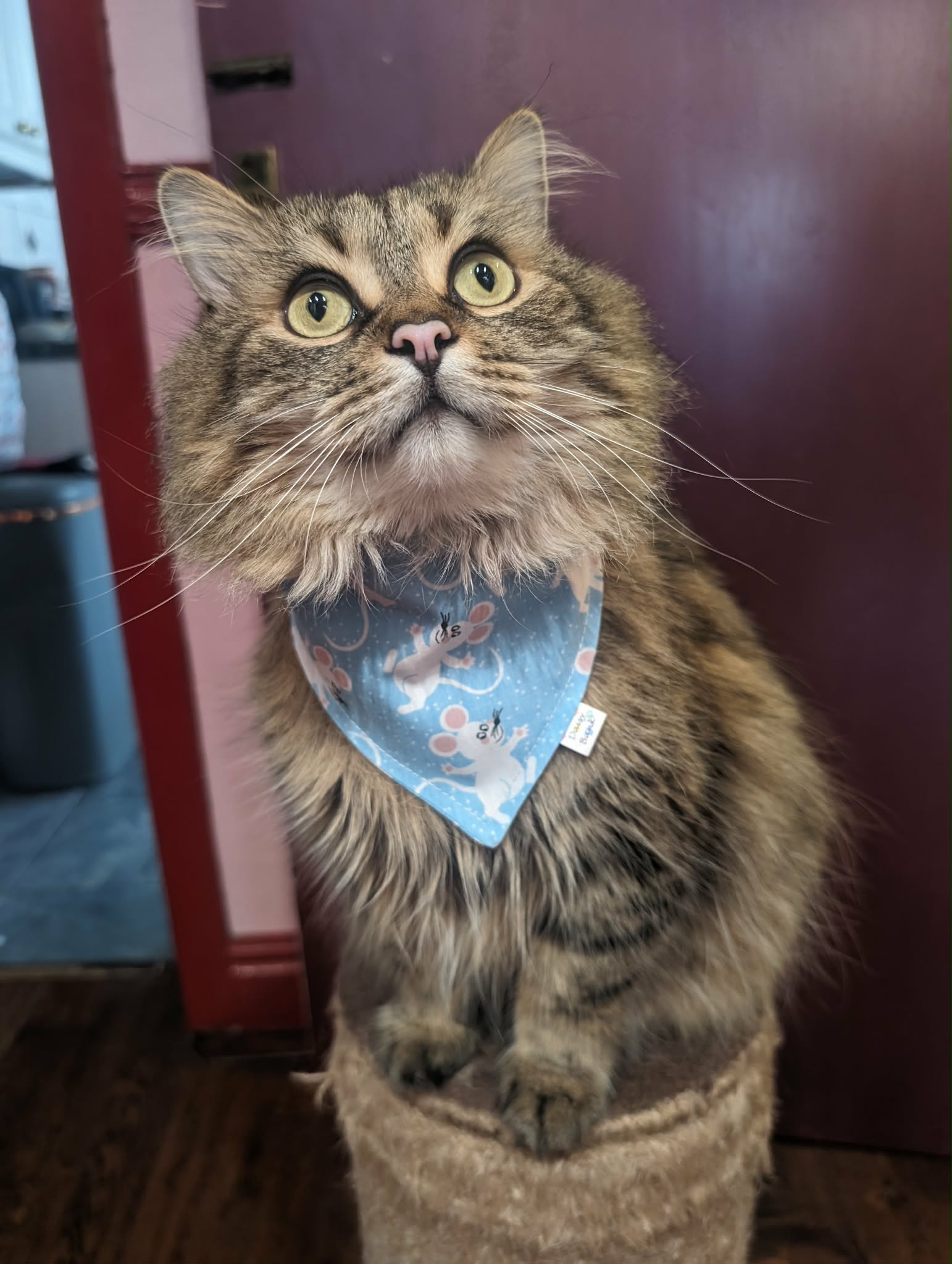 "Cheeky Mice"  Dog / Cat Bandana - Lightweight Stylish Pet Accessory Scarf