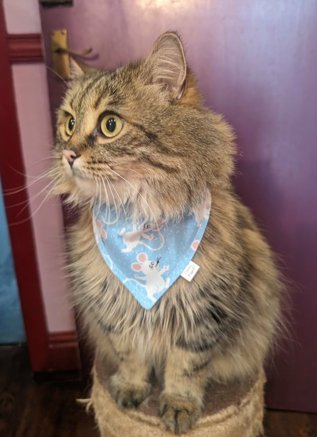 "Cheeky Mice"  Dog / Cat Bandana - Lightweight Stylish Pet Accessory Scarf
